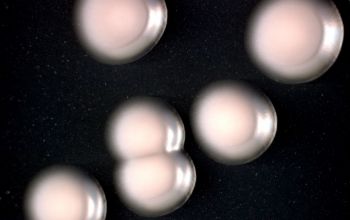 Methylobacterium rhodinum  culture incubated with CO2