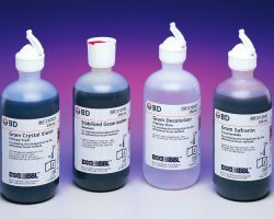 Gram staining